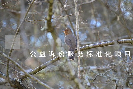 公益诉讼服务标准化项目 公益诉讼服务标准化项目