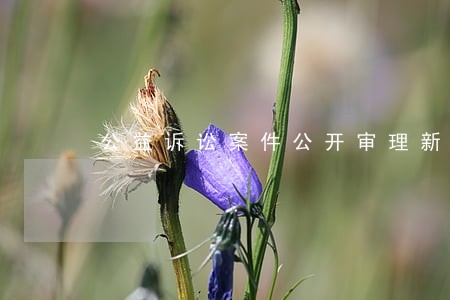 公益诉讼案件公开审理新闻稿 公益诉讼案件公开审理新闻稿