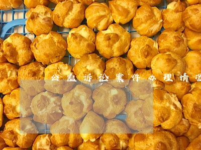 公益诉讼案件办理情况汇报 公益诉讼案件办理情况汇报