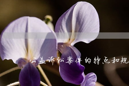 公益诉讼案件的特点和规律 公益诉讼案件的特点和规律