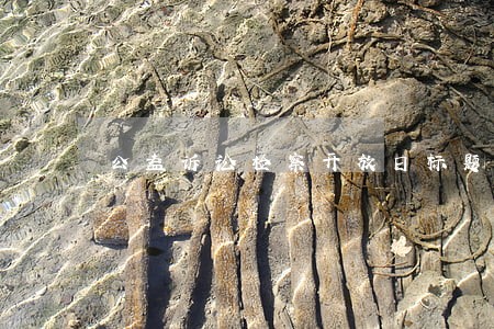 公益诉讼检察开放日标题 公益诉讼检察开放日标题