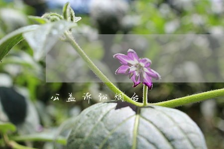 公益诉讼烟台 公益诉讼烟台