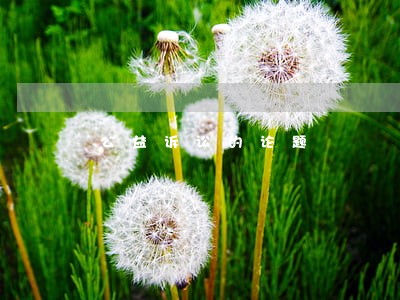 公益诉讼的论题 公益诉讼的论题