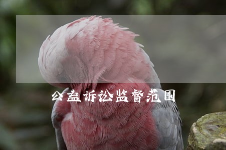 公益诉讼监督范围 公益诉讼监督范围