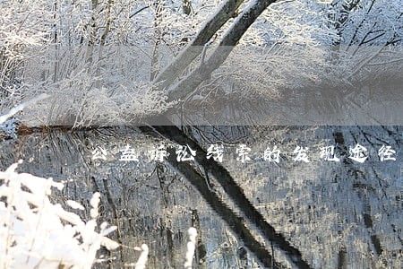 公益诉讼线索的发现途径