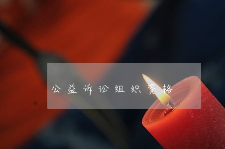 公益诉讼组织资格