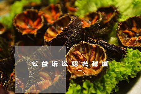 公益诉讼绍兴越城 公益诉讼绍兴越城