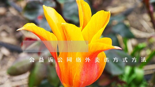 公益诉讼网络外卖违方式方法 公益诉讼网络外卖违方式方法