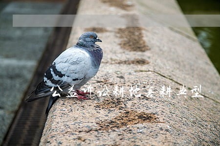 公益诉讼耕地复耕典型 公益诉讼耕地复耕典型