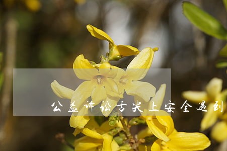 公益诉讼舌尖上安全遇到的困难