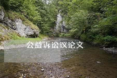 公益诉讼议论文
