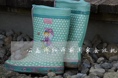 公益诉讼诉前圆桌会议机制 公益诉讼诉前圆桌会议机制