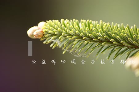 公益诉讼调查手段多样化 公益诉讼调查手段多样化
