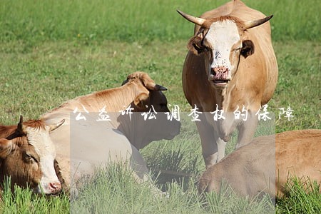 公益诉讼调查权的保障