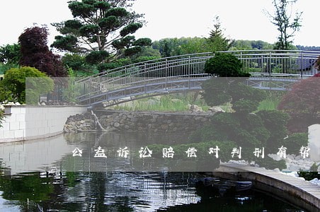 公益诉讼赔偿对判刑有帮助吗 公益诉讼赔偿对判刑有帮助吗