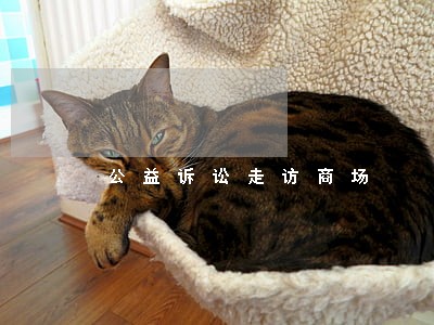 公益诉讼走访商场