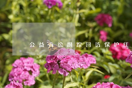 公益诉讼跟踪回访保护红色资源 公益诉讼跟踪回访保护红色资源