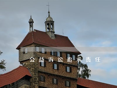 公益诉讼追求责任 公益诉讼追求责任