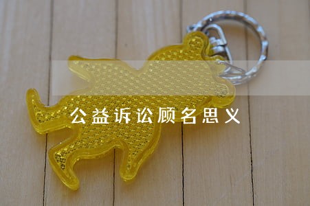 公益诉讼顾名思义 公益诉讼顾名思义