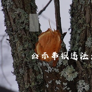 公示举报违法无证据 公示举报违法无证据