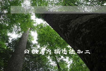 公租房内搞违法加工 公租房内搞违法加工