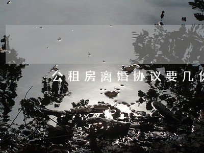 公租房离婚协议要几份 公租房离婚协议要几份