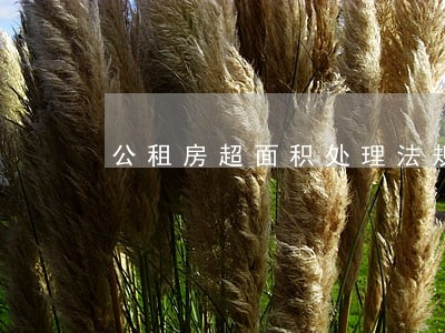 公租房超面积处理法规 公租房超面积处理法规