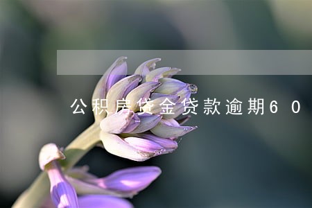 公积房贷金贷款逾期60天 公积房贷金贷款逾期60天