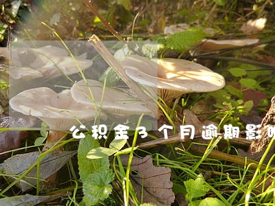 公积金3个月逾期影响贷款 公积金3个月逾期影响贷款