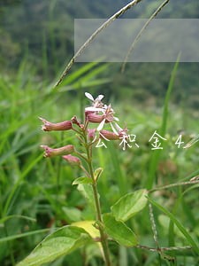 公积金4次逾期会怎么样 公积金4次逾期会怎么样
