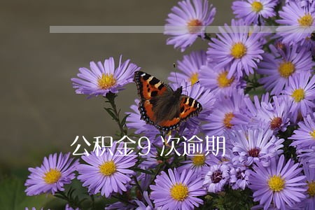 公积金9次逾期 公积金9次逾期