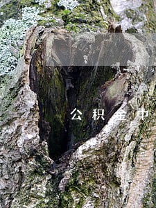 公积金中介套现违法