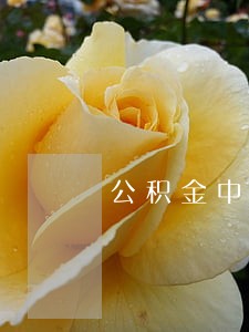 公积金中心逾期贷款分析 公积金中心逾期贷款分析