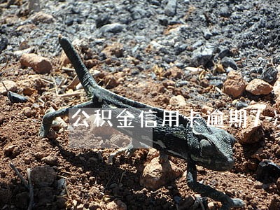 公积金信用卡逾期7次 公积金信用卡逾期7次