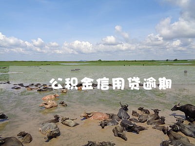 公积金信用贷逾期 公积金信用贷逾期