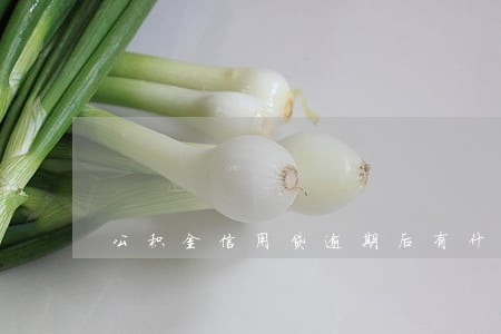 公积金信用贷逾期后有什么影响 公积金信用贷逾期后有什么影响