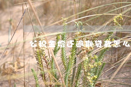 公积金偿还逾期贷款怎么办理 公积金偿还逾期贷款怎么办理