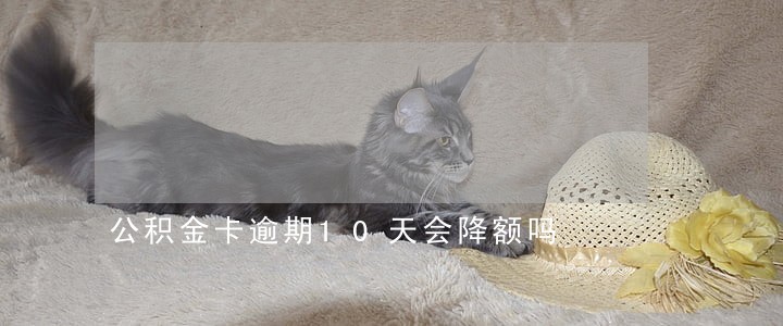 公积金卡逾期10天会降额吗 公积金卡逾期10天会降额吗