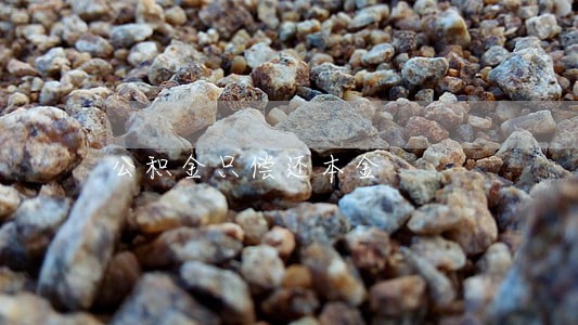 公积金只偿还本金 公积金只偿还本金