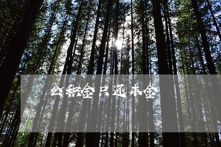 公积金只还本金