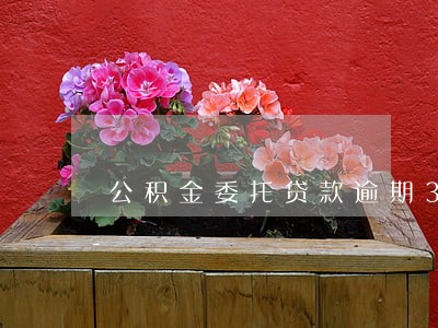 公积金委托贷款逾期3天 公积金委托贷款逾期3天