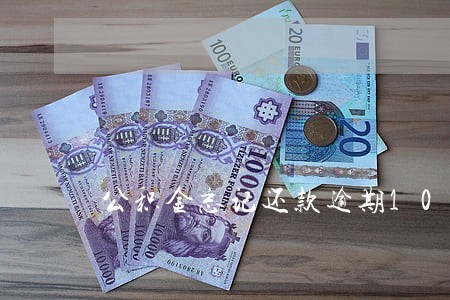 公积金忘记还款逾期10天 公积金忘记还款逾期10天
