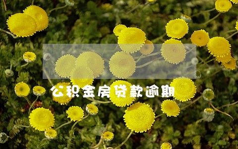 公积金房贷款逾期 公积金房贷款逾期
