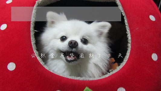 公积金房贷逾期20天 公积金房贷逾期20天