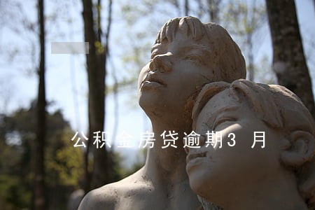 公积金房贷逾期3月 公积金房贷逾期3月