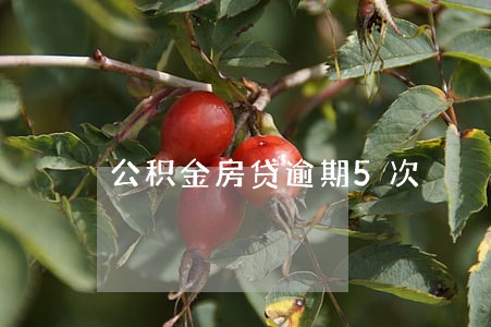 公积金房贷逾期5次 公积金房贷逾期5次