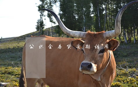 公积金房贷逾期信用 公积金房贷逾期信用