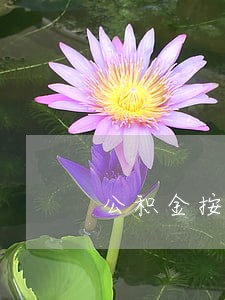 公积金按揭贷款逾期1天 公积金按揭贷款逾期1天