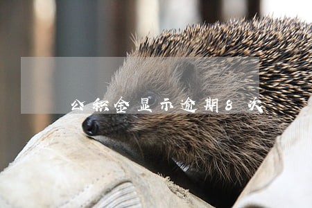 公积金显示逾期8次 公积金显示逾期8次