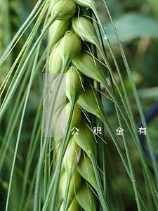 公积金有7次逾期 公积金有7次逾期